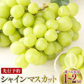【ふるさと納税】【先行予約】 【選べる容量】 鹿児島県産シャインマスカット 1kg(1～4房) 2kg(2～6房)「2026年7月下旬より順次出荷予定」 数量限定 期間限定 ぶどう ブドウ 葡萄 上野ぶどう園 上野農園 元営農指導員 フルーツのまち 鹿児島県 薩摩川内市 送料無料