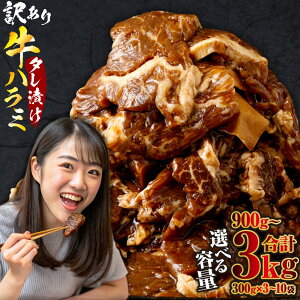 yӂ邳Ɣ[Łz炩 n~iTKj yIׂeʁzɎ|`ݖ^Ђ v900g`3kgi300g×3܁`10)y󂠂z󏭕  n~   ē BBQ uߕ  