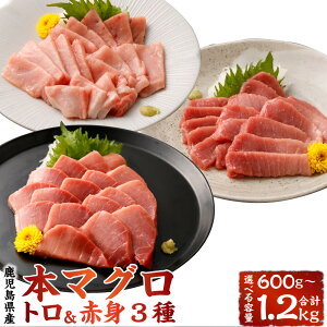 yӂ邳Ɣ[ŁzyIׂeʁzY {}O gԐg 3 Zbg v600g  v1.2kg 1܂200g Ԑg g g N}O }O ܂   Ⓚ B 