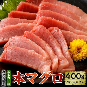 yӂ邳Ɣ[ŁzY{}O gO v400g 200g×2 { ܂ }O  {B hg TN wƂ wg lMg  Fs  Y BY Y 