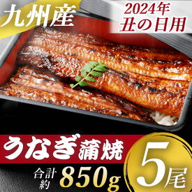 【ふるさと納税】【数量限定】先行予約 土用の丑の日用九州産うなぎ蒲焼 計約850g（約170g×5尾 ）【2024年7月発送】 CS-701 うなぎ 蒲焼き うなぎ 無頭 蒲焼き タレ付き 薩摩川内うなぎ 蒲焼 うなぎ蒲焼 冷凍 鹿児島 国産 鰻 ウナギ 薩摩川内市 ふるさと納税