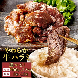 【ふるさと納税】【選べる定期便】やわらか 牛ハラミ（サガリ）肉 訳あり 選べる容量と回数 極旨秘伝醤油タレ漬け約300g×2袋～6袋 定期3回～12回 希少部位 牛肉 ハラミ 肉 お肉 焼肉 BBQ 炒め物 小分け 焼くだけ 簡単調理 時短 冷凍 鹿児島県 薩摩川内市 送料無料