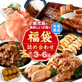 【ふるさと納税】【お楽しみ福袋6種A～D】鹿児島の美味しいが届く！ 福袋 詰め合わせ うなぎ蒲焼 うなぎの蒲焼 特大 黒毛和牛 しゃぶしゃぶ 黒豚 餃子 ロース 味噌漬け 鶏 ハラミ ミンチ 豚肉 カレー ミートソース 鹿児島県 薩摩川内市 送料無料