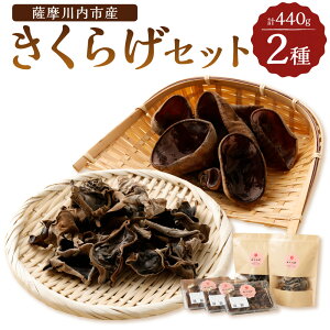 yӂ邳Ɣ[Łz FsŶ炰Zbg 炰 360g 炰80g 2 炰 炰 炰Zbg Yۏ Y  Fs 