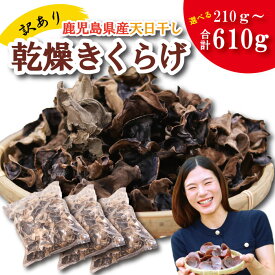 【ふるさと納税】＼"訳アリ”／鹿児島県産天日干し乾燥きくらげ 合計210g～610g 国産 訳あり 訳アリ 業務用 乾燥きくらげ 野菜 きのこ 健康 食物繊維 低カロリー エムズ わか農園 サラダ みそ汁 スープ 炒め物 煮物 和え物 鹿児島県 薩摩川内市 送料無料