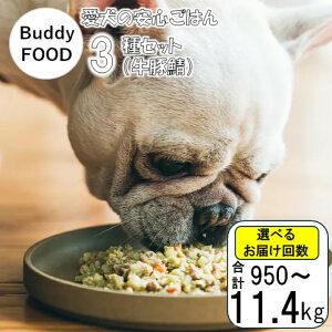 yӂ邳Ɣ[Łz SYEbtIXẌ̈S͂yBuddy FOOD ofBt[h ihbOt[hjz 3ZbgCi؎Ij AS-848  ybgt[h hbOt[h ofBt[h 