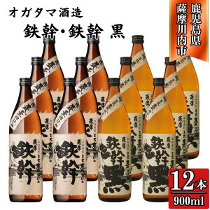 yӂ邳Ɣ[ŁzSES Ē 25x 900ml iv6{`12{jIK^} BSR-932 ESR-827 S S Ē Ē   LЎOY IK^}𑢊  Fs 
