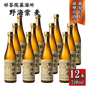yӂ邳Ɣ[ŁzC Ē 25x 720ml×6{`12{ V@ CSR-718 GSR-506 C Ē Ē   葢荍 ؉d LЎOY ЌV@  Fs 