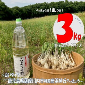 【ふるさと納税】 【先行予約】唐浜砂丘らっきょう（生）Mサイズ 3kg ＋ らっきょう酢 1.8L AS-524 生らっきょう ラッキョウ 唐浜砂丘らっきょう らっきょう酢 鹿児島県 薩摩川内市 送料無料【2026年6月以降順次発送予定】