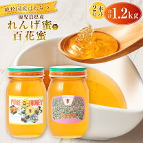 楽天市場】国産はちみつ レンゲ 600の通販