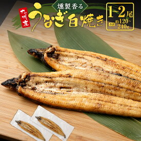 【ふるさと納税】燻製香る うなぎ白焼き 1～2尾 計約120～240g 約120g 珍しい うなぎ ウナギ 鰻 うなぎの白焼き 鰻白焼 白焼 白焼き ふっくら 燻製 塩 燻製塩 国産うなぎ おかず おつまみ 土用の丑の日 冷凍 お取り寄せ グルメ ギフト 国産 鹿児島県 薩摩川内市 送料無料