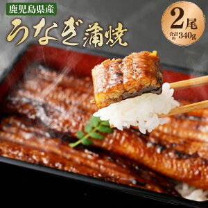 【ふるさと納税】鹿児島県産 うなぎ蒲焼 約170g×1〜2尾 AS-841 鹿児島県 薩摩川内市 送料無料 鰻 ウナギ 薩摩川内鰻 薩摩川内うなぎ 蒲焼き かば焼き