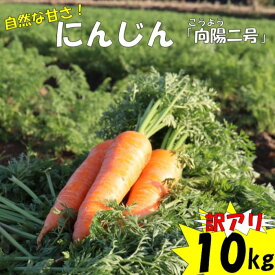【ふるさと納税】【訳アリ】農家直送 人参 10kg 向陽二号 にんじん 人参 ニンジン 野菜 やさい 根菜 訳アリ 訳あり 農家直送 直送 向陽二号 鹿児島県産 鹿児島県 薩摩川内市 送料無料 【2026年12月発送予定】 ZS-741