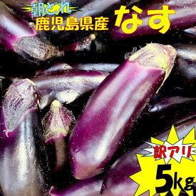 【ふるさと納税】【訳アリ】鹿児島県産ナス 5kg 朝どれ 季節限定 なす ナス 茄子 なすび 朝どれ 朝採れ 夏野菜 夏 なつ 野菜 やさい 訳アリ 訳あり 季節限定 夏限定 農家直送 鹿児島県 薩摩川内市 送料無料 ZS-784