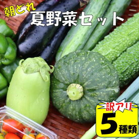 【ふるさと納税】【訳アリ】【朝どれ】アグリ福ちゃん 夏野菜セット（5種類） ZS-6129 鹿児島県 薩摩川内市 送料無料