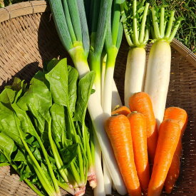 【ふるさと納税】【先行予約】【訳アリ】アグリ福ちゃん 冬野菜 セット（5種類）朝採れ！ 新鮮 産地直送 野菜 詰め合わせ 白ネギ 人参 大根 ショウガ キャベツ 白菜 ブロッコリー 冷蔵 鹿児島県 薩摩川内市 送料無料 ZS-6135 【2025年12月上旬-2026年2月下旬頃発送予定】