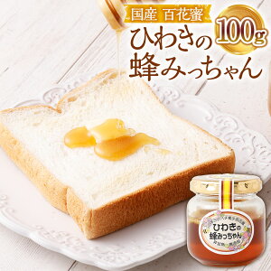 yӂ邳Ɣ[ŁzЂ킫̖I݂ 100g SԖ Y ݂͂ n`~c I  {~co`  Fs 