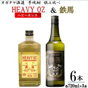 yӂ邳Ɣ[ŁzĒuHEAVY OZiwr[IXjvSn ݔ6{Zbg 720ml×6{ie3{j IK^} DSR-624  Fs 