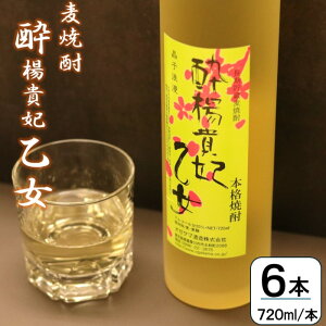 yӂ邳Ɣ[ŁzĒ kM܉ 720ml × 6{ IK^} CSR-316  Fs 