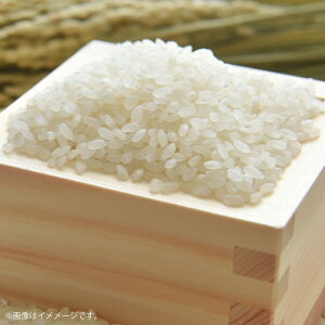 yӂ邳Ɣ[Łzߘa7NY 炿AY qmqJ  5kg   ͂ Y Y Fs  y2025N11{菇Jnz BS-0108