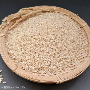 yӂ邳Ɣ[Łzߘa7NY 炿 Y قȂ  5kg  ͂ Y Y Fs  y2025N11{菇Jnz BS-0110