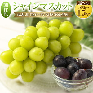 yӂ邳Ɣ[Łz yIׂEeʁz ys\z ̂ VC}XJbg iȂj 500gi1[j 1.0kgi2[j 1.5kgi3[j p ̂ BKV[hXti100gxj}XJbg Ԃ