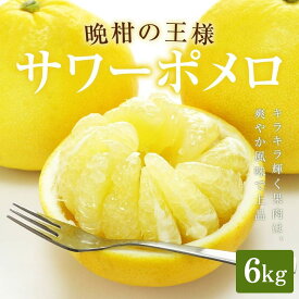 【ふるさと納税】 鹿児島県産サワーポメロ 6kg （2月中旬から順次発送予定） 季節限定 パール柑 大橘 文旦 ぶんたん ブンタン ボンタン ザボン ざぼん 柑橘 晩柑 南九州 果物 ふるさと アイショップ 鹿児島県 薩摩川内市 送料無料