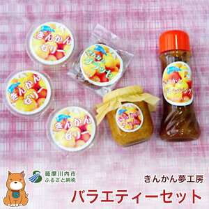 【ふるさと納税】きんかん夢工房バラエティーセット