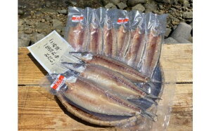 yӂ邳Ɣ[Łz ̊CV ܂̊ ZS-933@ ܂   Fs 