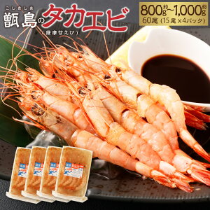yӂ邳Ɣ[Łz̃^JGriFÂсj60 800g`1,000g Ⓚ  Gr ^JGr  Â ÊCV ÃGr FÊCV   Fs 