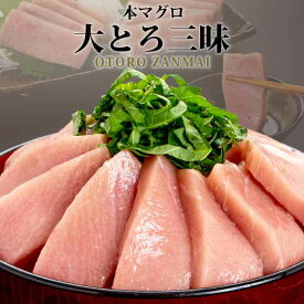 楽天市場 ふるさと納税 大とろの通販