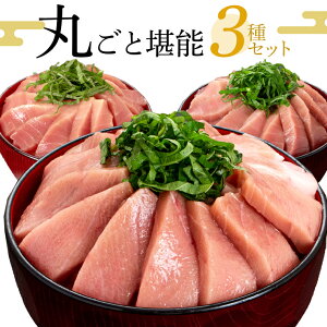 ネギ 種 魚の人気商品 通販 価格比較 価格 Com