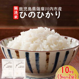 【ふるさと納税】 無洗米 鹿児島県産ひのひかり 10kg（5kg×2）BS-121 薩摩川内市産 五つ星お米マイスター厳選 鹿児島県 薩摩川内市　国産　お米　白米 ヒノヒカリ 送料無料