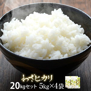 yӂ邳Ɣ[Łz܂}CX^[ᖡ 킴qJ 20kg (5kg × 4) HSR-604 cēX  uh  Ђ̂Ђ qmqJ 󏭕i  Mtg v[g  