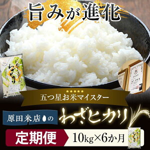 yӂ邳Ɣ[Łzyցz܂}CX^[ᖡuh 킴qJ 60kg 10kg×6 y10딭z KSR-603 ܂ł͂ cēX    Mtg v[g 
