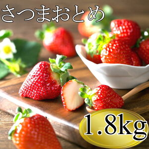 yӂ邳Ɣ[ŁzyGߌzYi܂Ƃ߁j 1.8kgi450g×4g[j y1`4z  C`S  ܂Ƃ ʕ t[c  Fs 