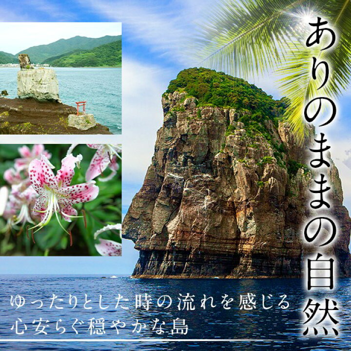 楽天市場 ふるさと納税 季節限定 甑島のパッションフルーツ こしき姫 合計3kg 発送6月下旬より8月中旬頃までには順次発送 期間限定 数量限定 トロピカルフルーツ 美味しい 人気 甘酸っぱい 南国フルーツ 旬のフルーツ 旬の果物 季節のフルーツ 果物 鹿児島