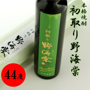 yӂ邳Ɣ[ŁzĒ̂ܖÏkl߂1{zy44xz C 300ml Ē {iĒ Ē  C  Ē C  ͂ nc_ ͂Ȃ  