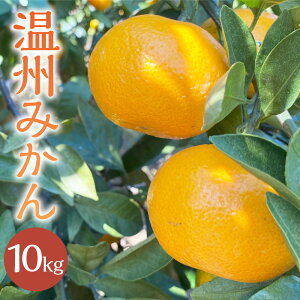 �y�ӂ邳�Ɣ[�Łz�������� �F������s�Y ���B�݂��� ���I�ׂ遄 ��3kg 5kg 10kg �݂��� �~�J�� ���� �� �ʕ� �t���[�c ���k�� ��B ���Y �������� �F������s ��������