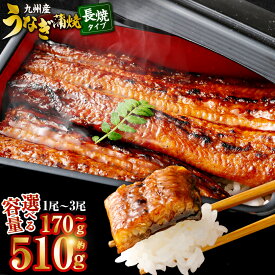【ふるさと納税】 【選べる容量】九州産うなぎ蒲焼 約170g×1～3尾 計約170～510g うなぎ 蒲焼き うなぎ 蒲焼き 薩摩川内うなぎ 薩摩川内鰻 蒲焼 うなぎ蒲焼 冷凍 国産 鰻 ウナギ ギフト プレゼント お中元 お歳暮 薩摩川内市 川内市 川内 ふるさと 納税