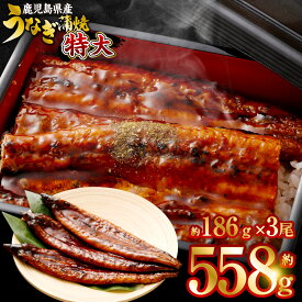 【ふるさと納税】【数量限定！配送月が選べる！】鹿児島県産 特大サイズうなぎ蒲焼3尾 合計558g以上 鰻蒲焼うなぎウナギ 土用 の 丑の日 鹿児島県 薩摩川内市 送料無料
