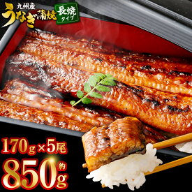 【ふるさと納税】 【配送月が選べる！】 九州産うなぎ蒲焼 約170g×5尾 うなぎ 蒲焼き うなぎ 無頭 蒲焼き タレ付き 薩摩川内うなぎ 薩摩川内鰻 蒲焼 うなぎ蒲焼 冷凍 鹿児島 国産 鰻 ウナギ ギフト プレゼント お中元 お歳暮 薩摩川内市 川内市 川内 ふるさと 納税