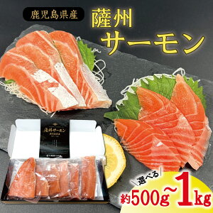 yӂ邳Ɣ[ŁzFBT[ 500g 1kg  Y {B T[    Fs 