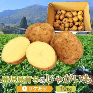 【訳あり】【数量限定】ママたちの想いをギュッ！薩摩で育った...