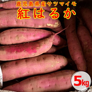 ふるさと納税 さつまいも イモ類の人気商品 通販 価格比較 価格 Com