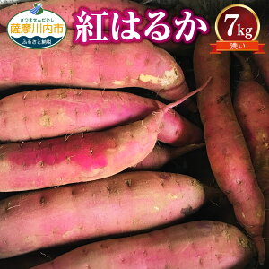 yӂ邳Ɣ[Łzy󂠂z2026N }}̑zMbIFňĂ܂ig͂邩j KiO 7kg y_ƒz ZS-923 Tc}C ܂  ׂɂ͂邩 󂠂 