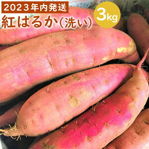 yӂ邳Ɣ[Łzy2025Nzy_ƒz}}̑zMbIFňĂ܂ig͂邩j 3kg  g͂邩 n  TCY 3kg Ă ߃TCY 