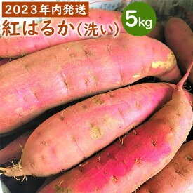 【ふるさと納税】【2024年内発送】【農家直送】ママたちの想いをギュッ！薩摩で育てたさつまいも（紅はるか）洗い5kg中サイズ　ZS-906　紅はるか 熟成 蜜芋 お試しサイズ 5kg 焼き芋 中サイズ さつまいも サツマイモ 薩摩芋 芋 吉永農園 鹿児島県 薩摩川内市 送料無料