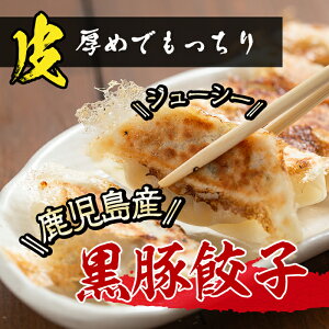 【ふるさと納税】鹿児島県産黒豚餃子計90個セット黒豚餃子と黒豚ベーコンチーズ餃子の食べ比べ【ぎょうざのmanylab】