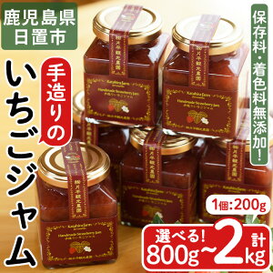 yӂ邳Ɣ[ŁzeʑIׂI葢C`SW(v800g`2kg) Y BY Y  C`S  W t[c ʕ  葢    v[g ۑY